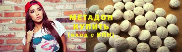 хмурый Аркадак