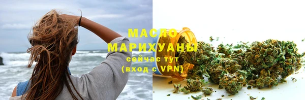 хмурый Аркадак
