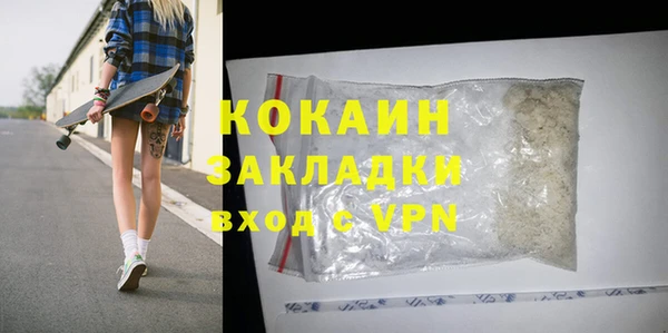 хмурый Аркадак