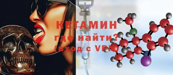 хмурый Аркадак