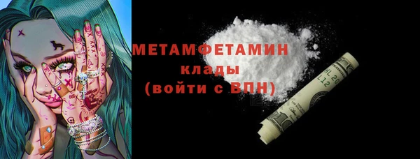 хмурый Аркадак