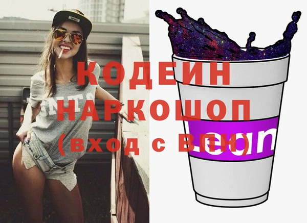 хмурый Аркадак
