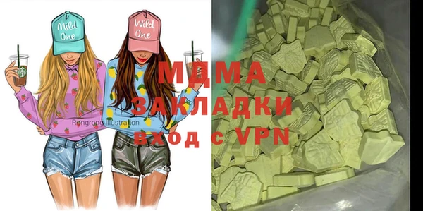 хмурый Аркадак