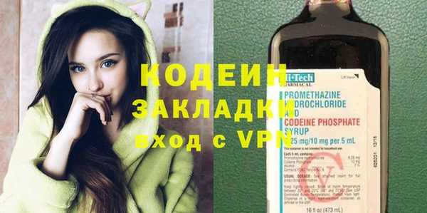 хмурый Аркадак