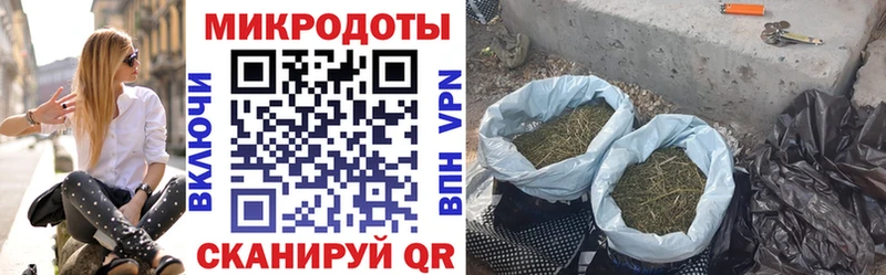 blacksprut зеркало  Безенчук  Галлюциногенные грибы прущие грибы 